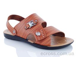 5113E camel